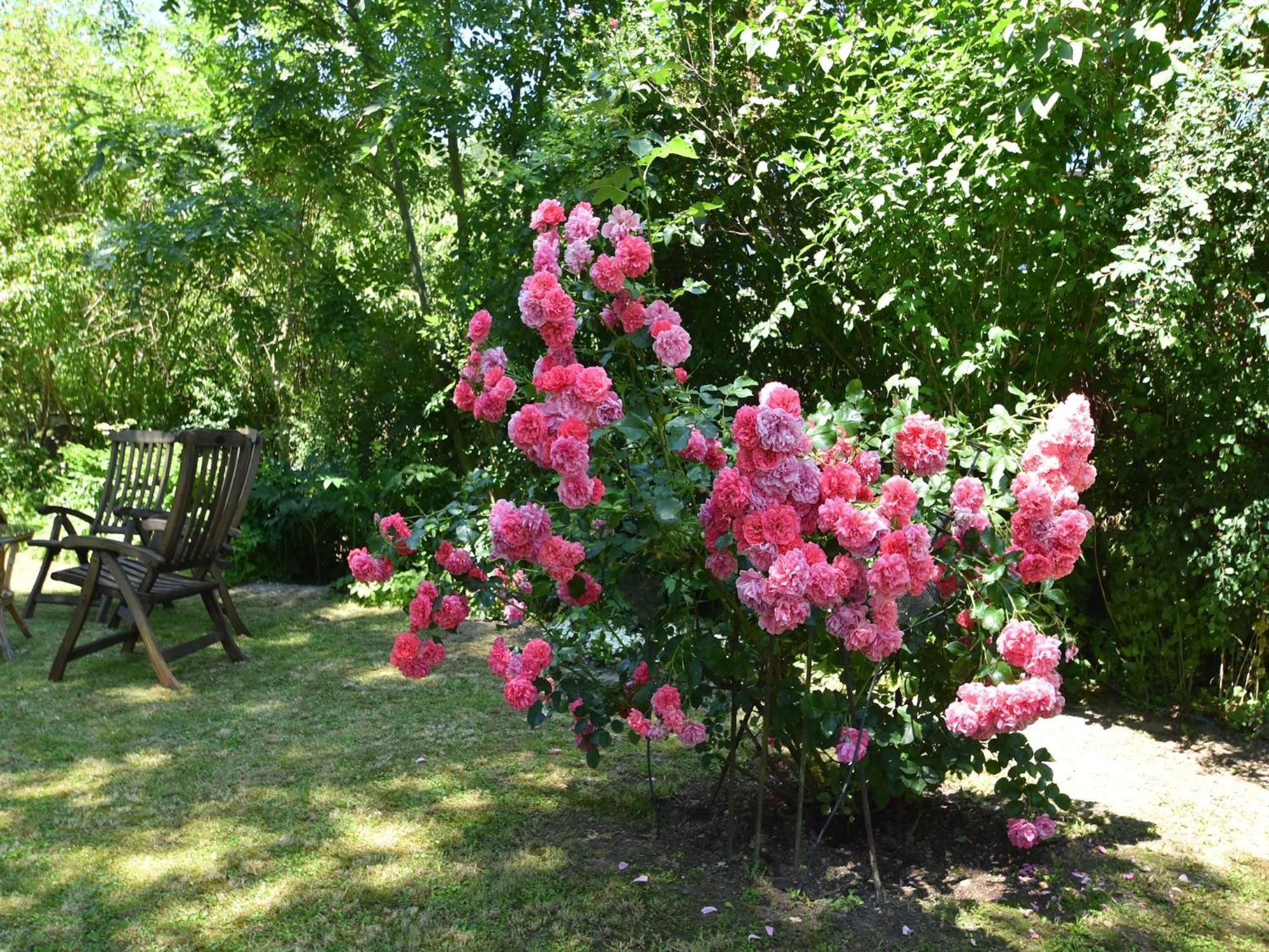 Ground Floor Apartment In Blankenburg แบลงเคนบวร์ก ภายนอก รูปภาพ